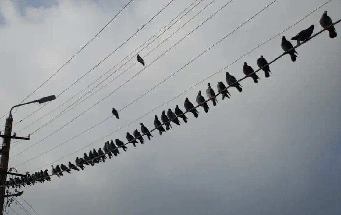 Фотография поста